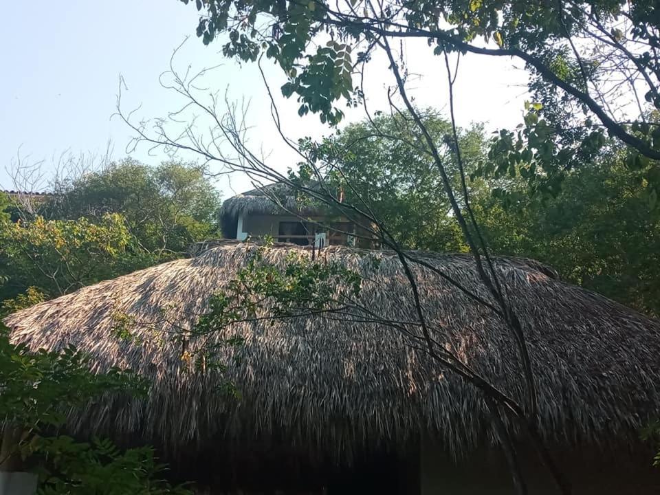 Aldea Xha Iba' Zipolite Hotel Bagian luar foto